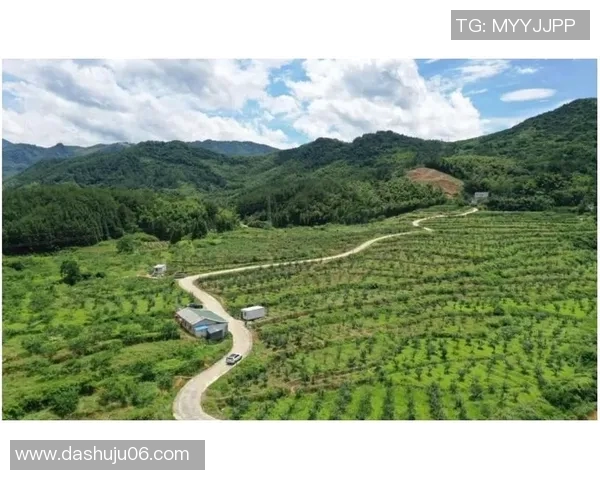 果园之美：自然与人文融合的乐园