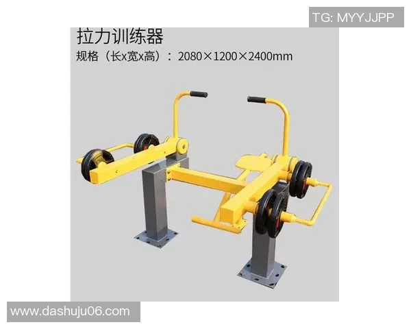 负重健身器材：负重型健身器材的训练作用及安全注意事项